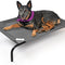 the Original Cooling Elevated Dog Bed, Indoor and Outdoor, Medium, Gunmetal