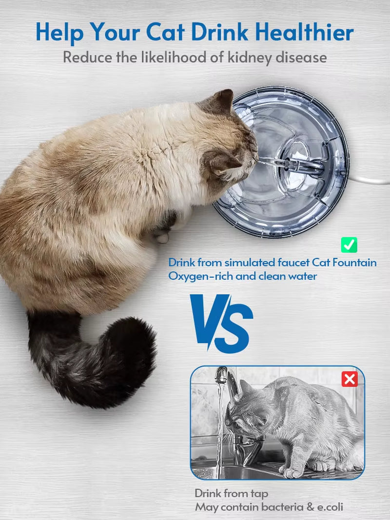 2L Automatic Cat Water Fountain with Faucet Dog Water Dispenser Transparent Filter Drinker Pet Sensor Drinking Feeder